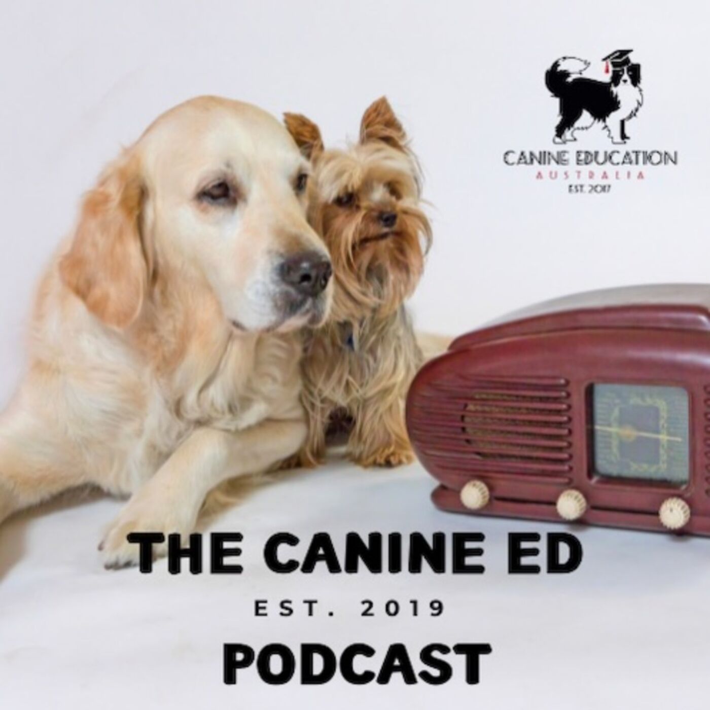 Canine Ed Podcast - Bex Tasker Animal Training with Kids and Imposter Syndrome