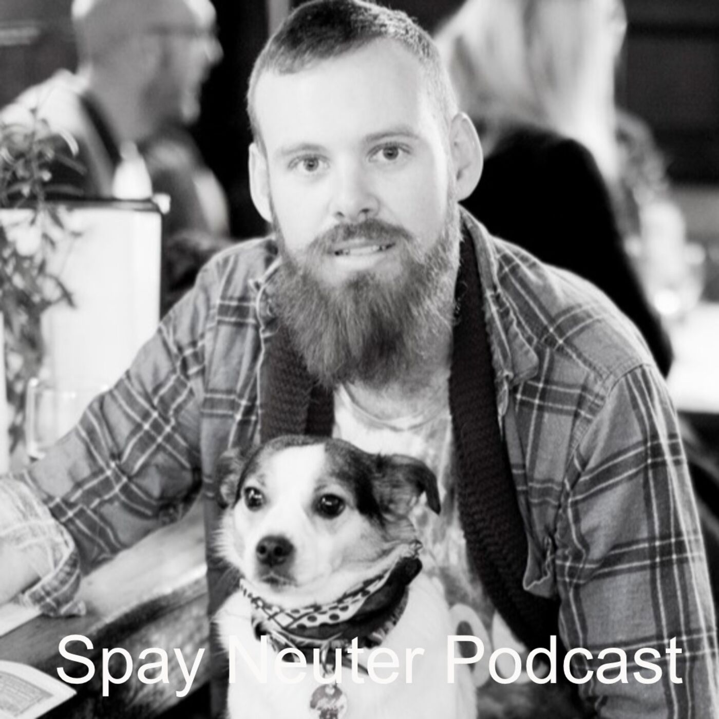 To Spay or Not To Spay with Dr Matt Muir