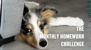 The Monthly Homework Challenge Membership