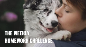 The Weekly Homework Challenge Membership