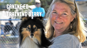 Canine Ed Training Diary - plan your training for maximum success