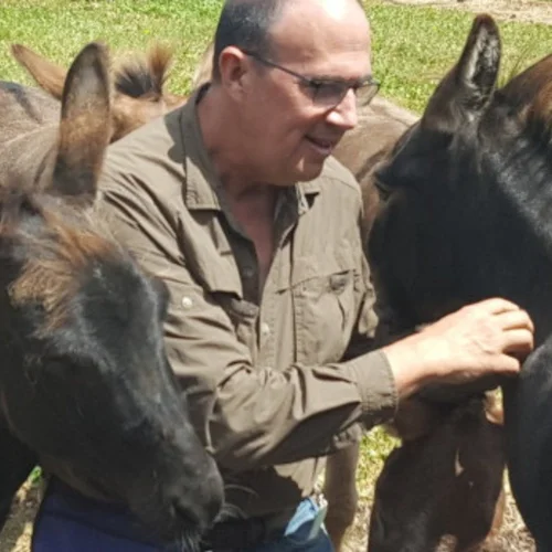 Concept Training, Communication & Advanced Animal Learning