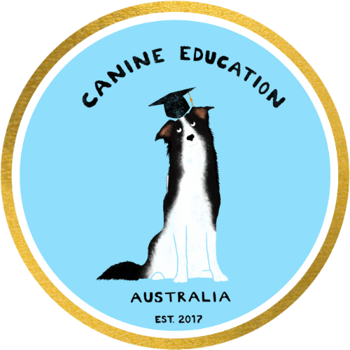 🚨 Watch out for our upcoming event/workshop line up this coming 2026! 🚨