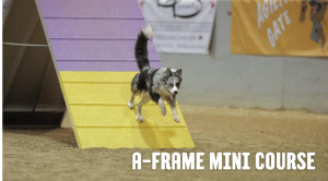 A Frame Mini Course Membership