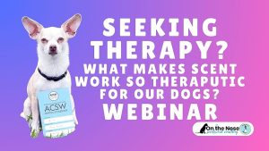 WEBINAR BUNDLE - Seeking Therapy.