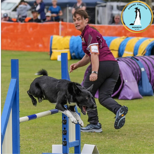 Agility
