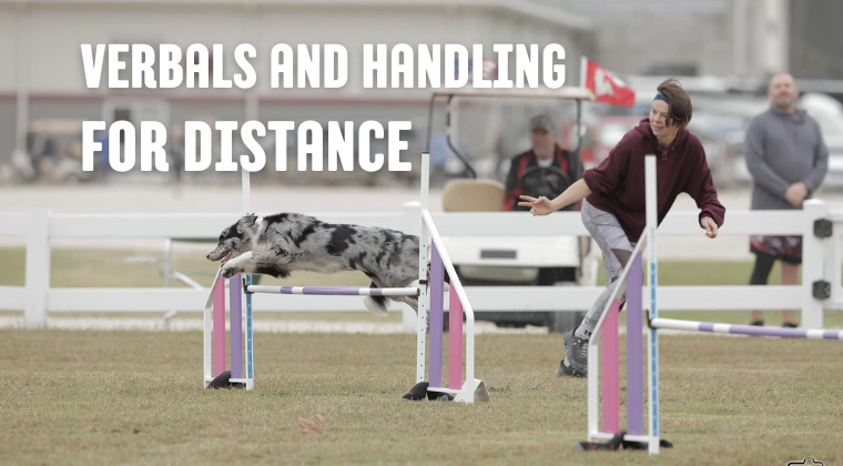 Verbals and Handling for Distance with Anastasia Egorova Membership