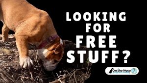 Scentwork with Peta Clarke Free Resources