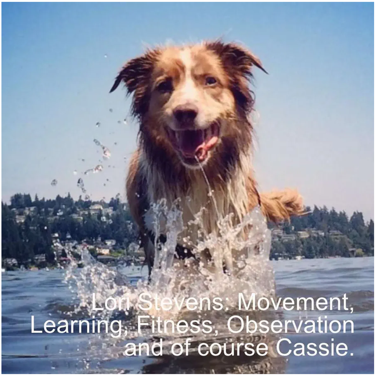 Lori Stevens Movement, Learning, Fitness, Observation and of course Cassie.