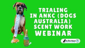 WEBINAR BUNDLE - New to ANKC Scent Work Trials