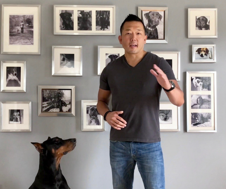 Michael Shikashio’s Dog Aggression Master Classes