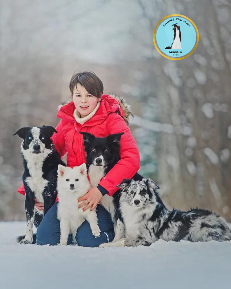 Agility Foundations with Anastasia Egorova