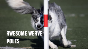 Awesome Weave Poles with Anastasia Egorova