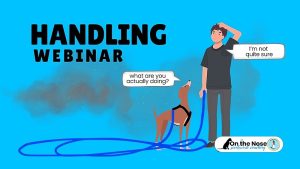 WEBINAR BUNDLE - Handling