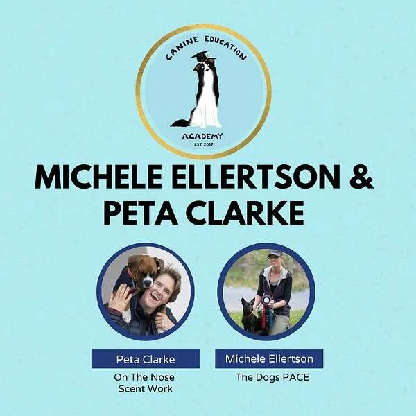 Michele Ellertson and Peta ClarkeChat Including Michele’s Aussie Visit This August