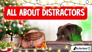 WEBINAR BUNDLE All About Distractors in Scent Work
