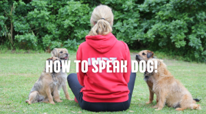 How To Speak Dog! with Laura Ryder