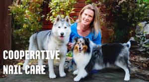 Cooperative Nail Care with Louise Ginman