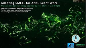 Webinar: Intro to fluid dynamics to better understand odour movement for scent work