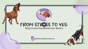 From Stress to Yes! - Dog Grooming Behaviour Basics