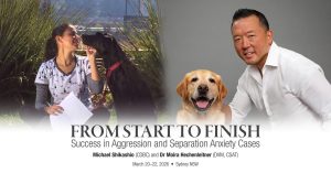 From Start to Finish