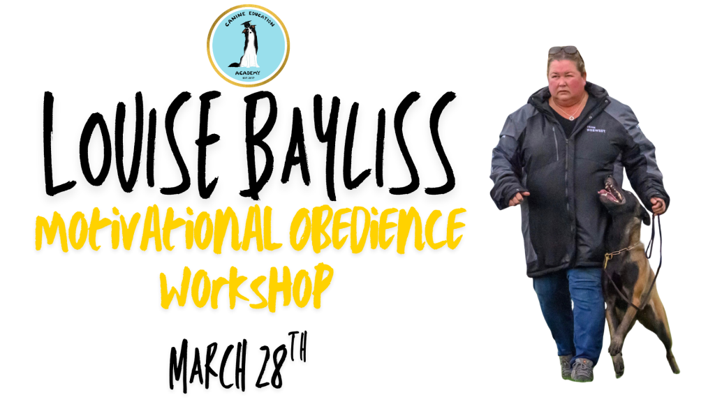 Motivational Obedience – Louise Bayliss