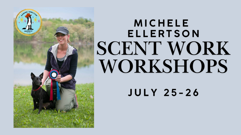 Michele Ellertson Scent Work Workshops
