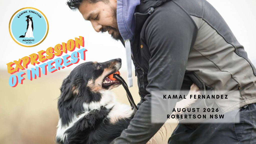 Kamal Fernandez – Expression of Interest